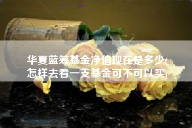 华夏蓝筹基金净值现在是多少(
怎样去看一支基金可不可以买)