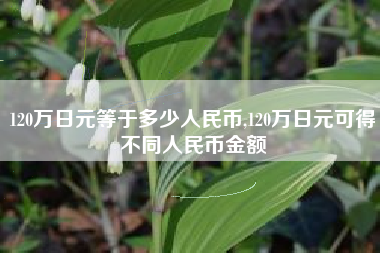 120万日元等于多少人民币,120万日元可得不同人民币金额