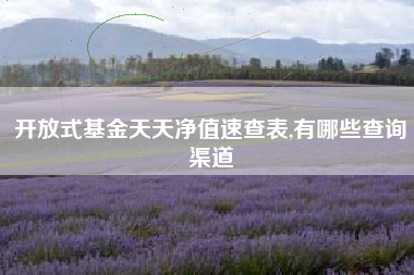 开放式基金天天净值速查表,有哪些查询渠道