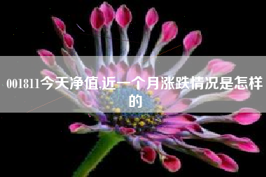 001811今天净值,近一个月涨跌情况是怎样的