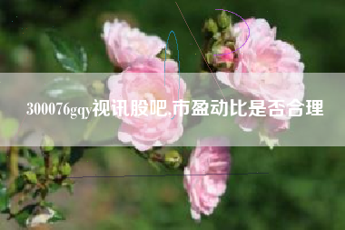 300076gqy视讯股吧,市盈动比是否合理