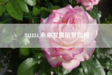 831834,未来发展前景如何