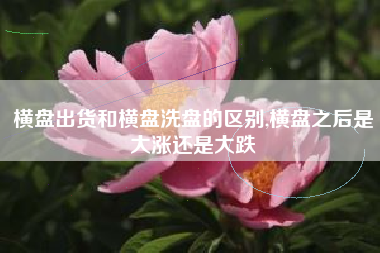 横盘出货和横盘洗盘的区别,横盘之后是大涨还是大跌