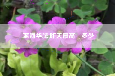 蓝海华腾,昨天最高價多少