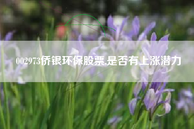 002973侨银环保股票,是否有上涨潜力