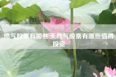 燃气股票有哪些,天然气股票有哪些值得投资