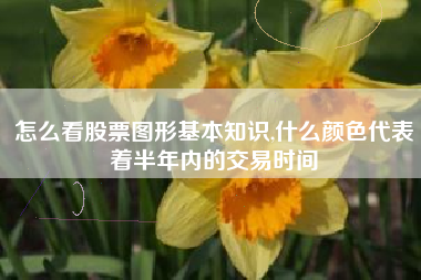 怎么看股票图形基本知识,什么颜色代表着半年内的交易时间