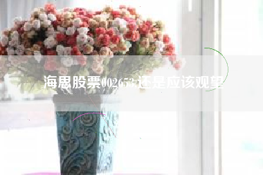 海思股票002653,还是应该观望