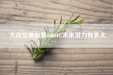 大众交通股票600611,未来潜力有多大