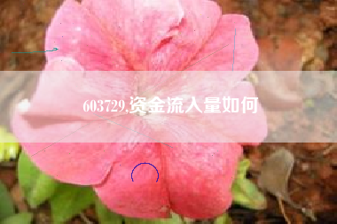 603729,资金流入量如何