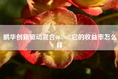 鹏华创新驱动混合005967,它的收益率怎么样