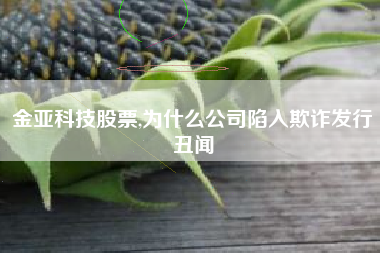 金亚科技股票,为什么公司陷入欺诈发行丑闻