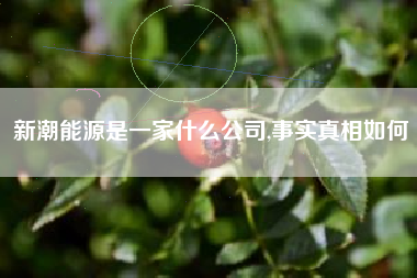 新潮能源是一家什么公司,事实真相如何
