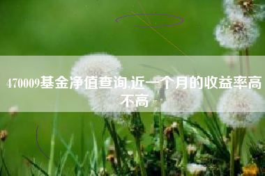 470009基金净值查询,近一个月的收益率高不高