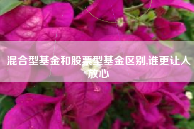 混合型基金和股票型基金区别,谁更让人放心