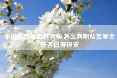 中国私募基金有哪些,怎么判断私募基金是否值得投资