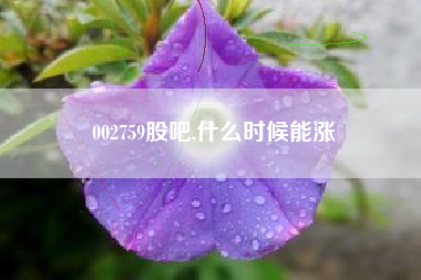 002759股吧,什么时候能涨