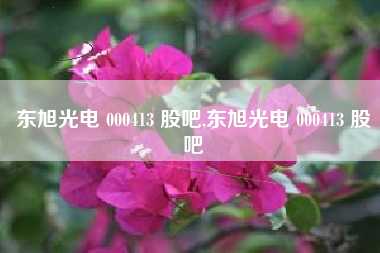 东旭光电 000413 股吧,东旭光电 000413 股吧