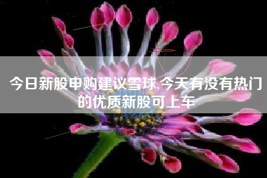 今日新股申购建议雪球,今天有没有热门的优质新股可上车