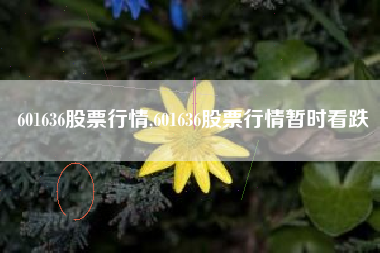 601636股票行情,601636股票行情暂时看跌