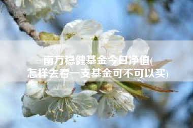 南方稳健基金今日净值(
怎样去看一支基金可不可以买)