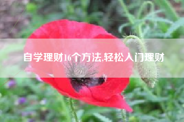 自学理财16个方法,轻松入门理财