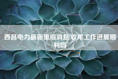西昌电力最新重组消息,收尾工作进展顺利吗