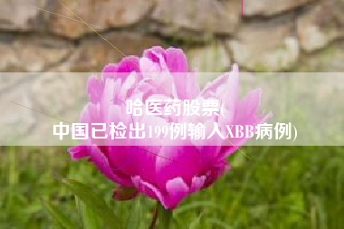 哈医药股票(
中国已检出199例输入XBB病例)