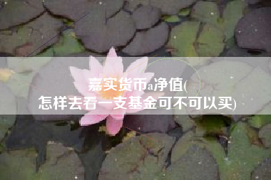 嘉实货币a净值(
怎样去看一支基金可不可以买)