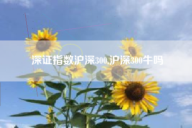 深证指数沪深300,沪深300牛吗