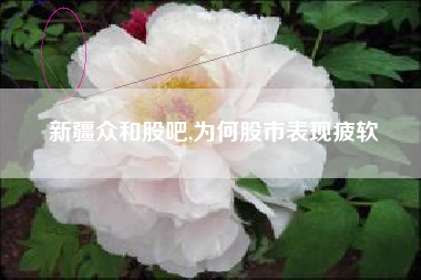 新疆众和股吧,为何股市表现疲软