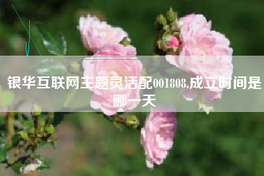 银华互联网主题灵活配001808,成立时间是哪一天