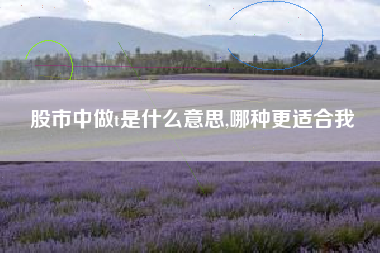 股市中做t是什么意思,哪种更适合我