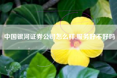 中国银河证券公司怎么样,服务好不好吗