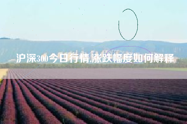 沪深300今日行情,涨跌幅度如何解释
