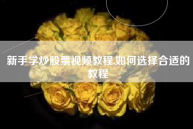 新手学炒股票视频教程,如何选择合适的教程