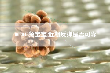 002043兔宝宝,近期反弹是否可靠