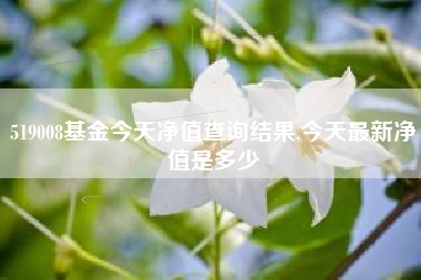 519008基金今天净值查询结果,今天最新净值是多少