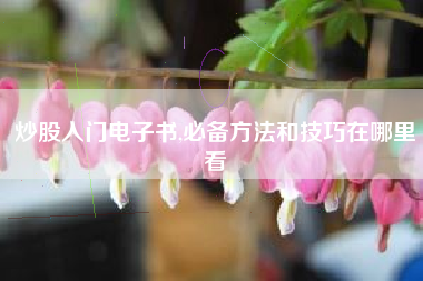 炒股入门电子书,必备方法和技巧在哪里看