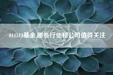 011513基金,哪些行业和公司值得关注
