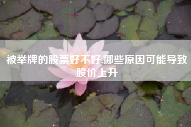 被举牌的股票好不好,哪些原因可能导致股价上升