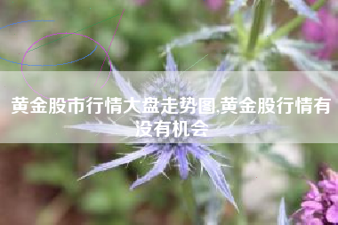 黄金股市行情大盘走势图,黄金股行情有没有机会