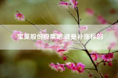 宝莫股份股票吧,谁是补涨标的