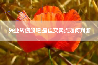 兴业转债股吧,最佳买卖点如何判断