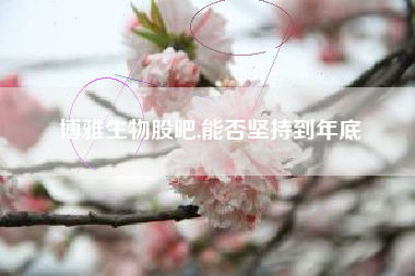 博雅生物股吧,能否坚持到年底