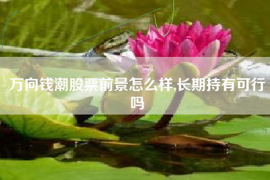 万向钱潮股票前景怎么样,长期持有可行吗