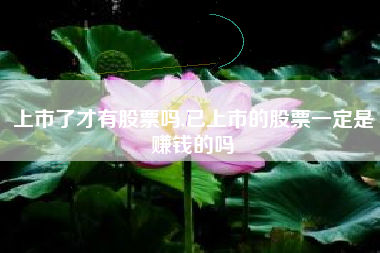 上市了才有股票吗,已上市的股票一定是赚钱的吗