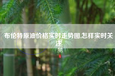布伦特原油价格实时走势图,怎样实时关注