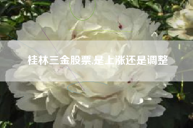 桂林三金股票,是上涨还是调整