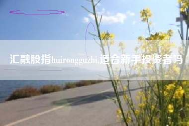 汇融股指huirongguzhi,适合新手投资者吗